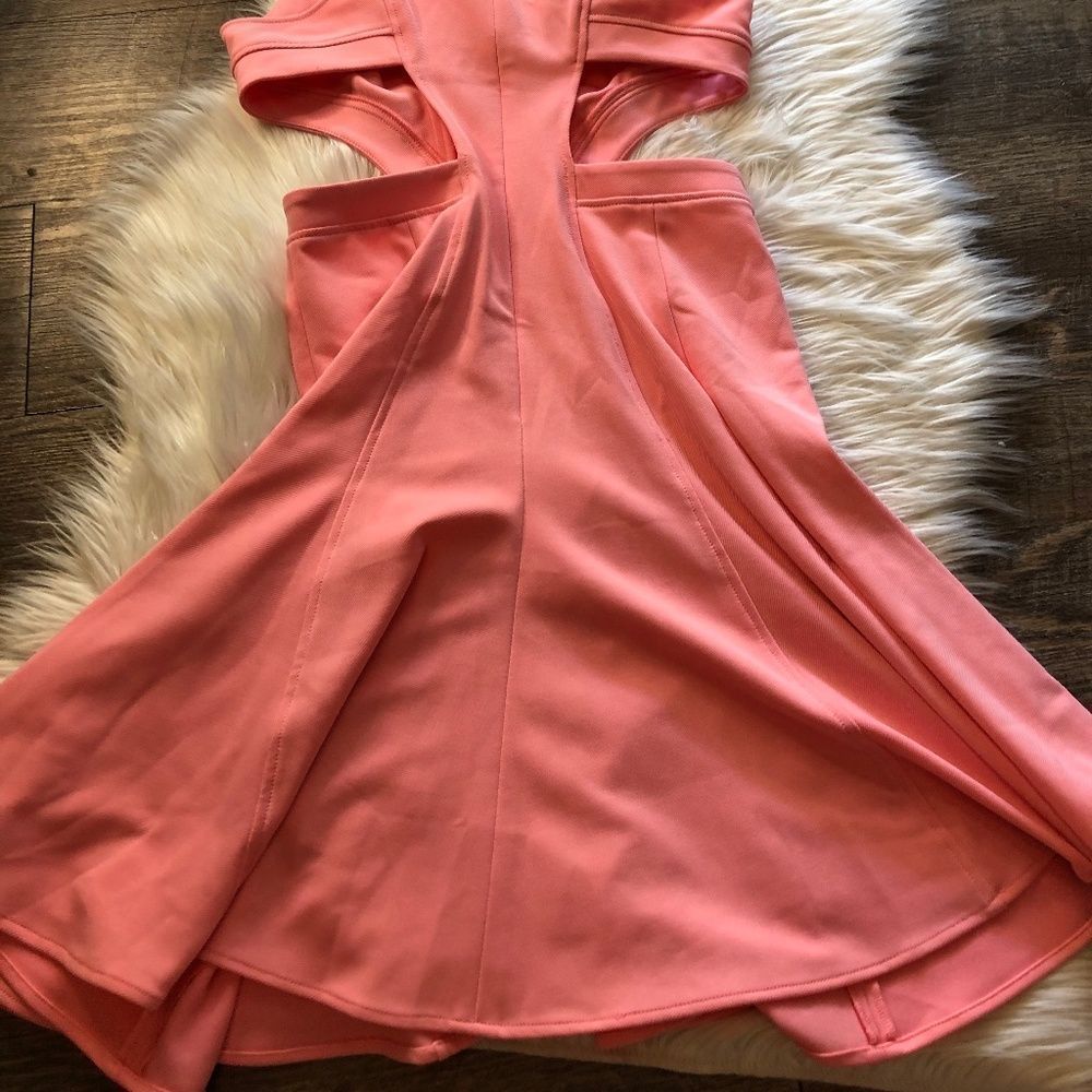 Zac Zac Posen Megan Pink Cutout Fit & Flare Dress - Picture 7 of 7